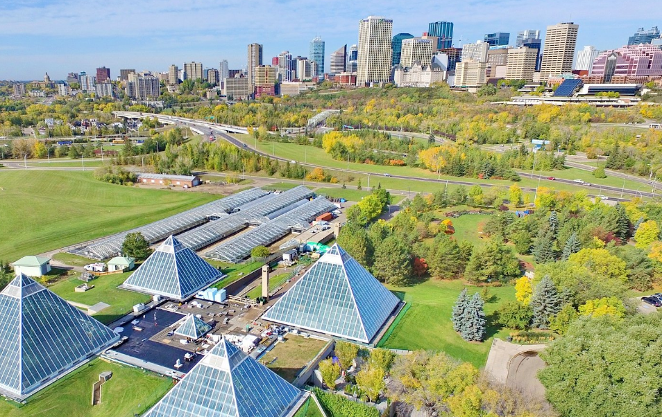 Rentals in Edmonton City