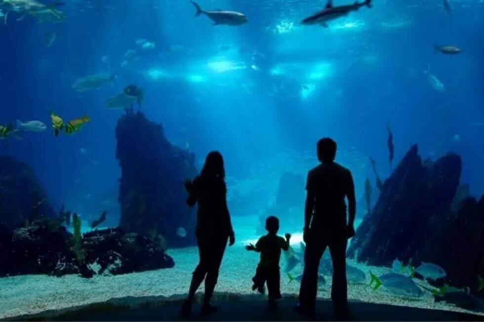 Fun Activities in Toronto