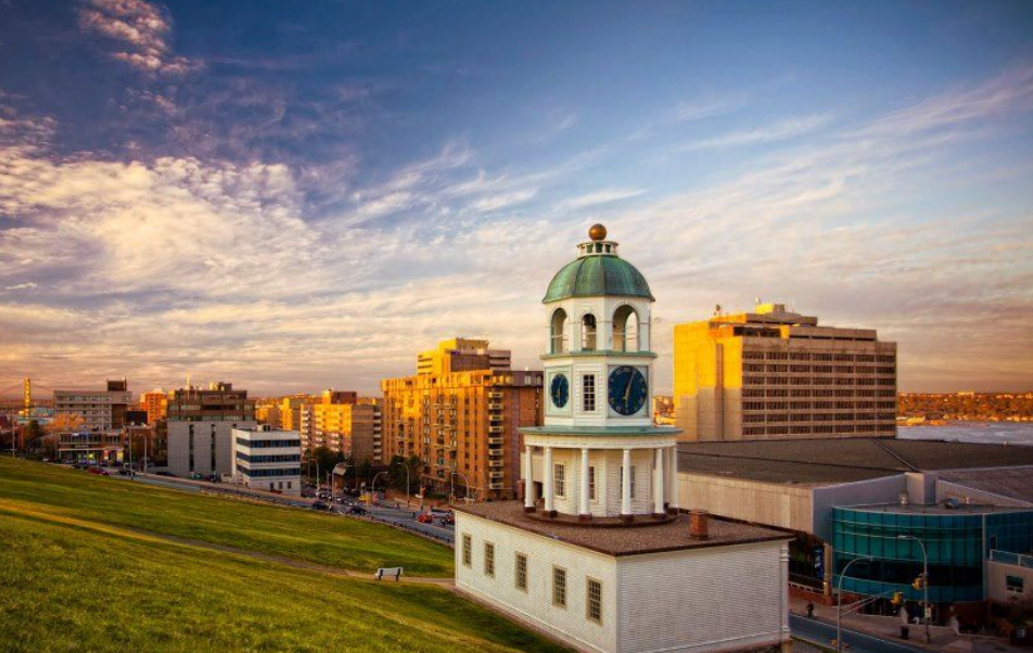 Find Your Perfect Fit with Pet-Friendly Apartments in Halifax