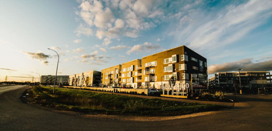 Corporate Stays |The Spot 2 Bedrooms