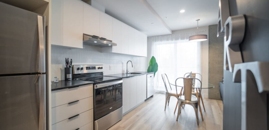 Corporate Stays | La Vigie 2 – Studio