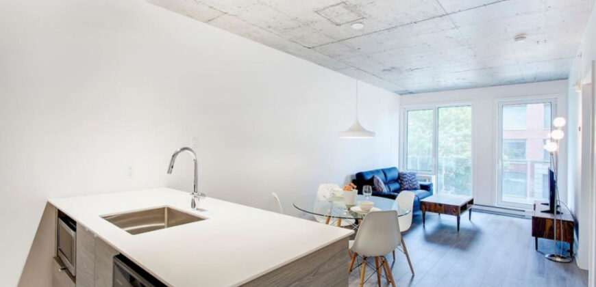 Montreal 1 Bedroom Apartment