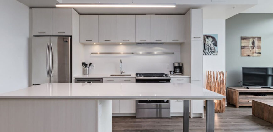 Calgary 1 Bedroom Apartment