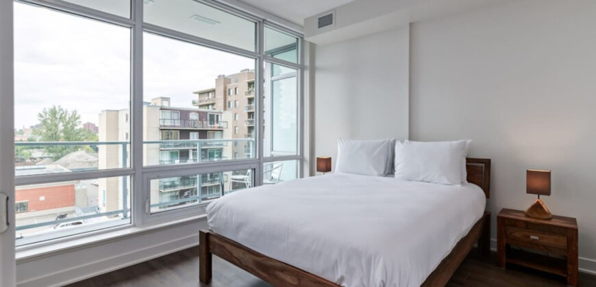 Calgary 1 Bedroom Apartment