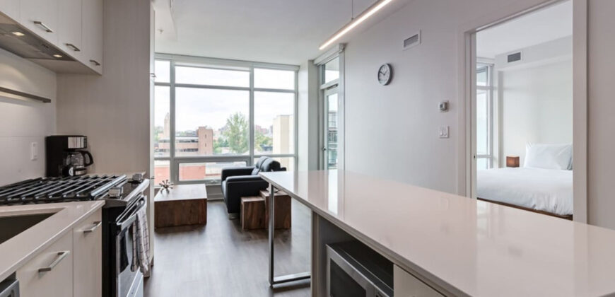 Calgary 1 Bedroom Apartment