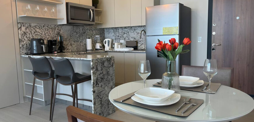 Deluxe Guest Condo Suite 1BR