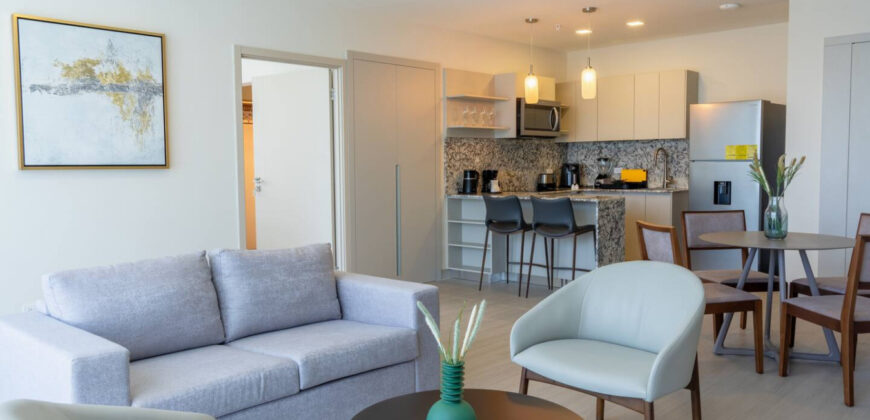 Deluxe Guest Condo Suite 1BR