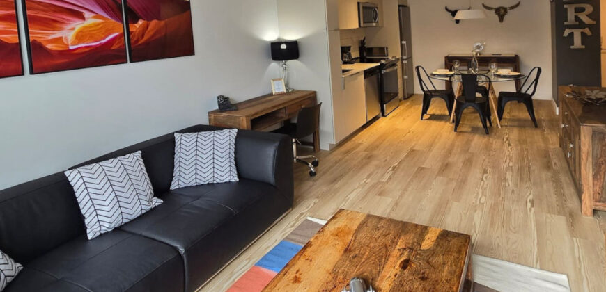 Pet-Friendly Furnished 1B Rental in Montreal with Skyline Views & Concierge
