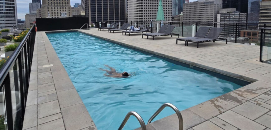 Pet-Friendly Furnished 1B Rental in Montreal with Skyline Views & Concierge