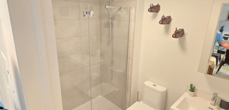 Pet-Friendly Furnished 1B Rental in Montreal with Skyline Views & Concierge