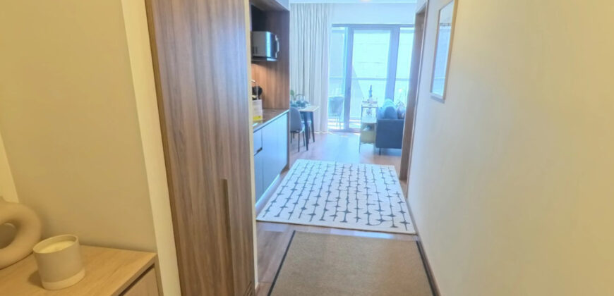 Pet-friendly Furnished 1 Bedroom Apartment in Mexico City