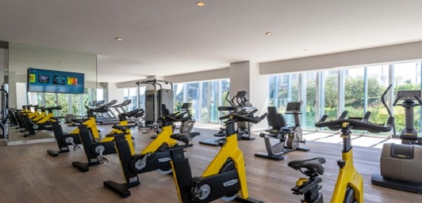 Paradox – Corporate Housing for Short & Long Term Stays in Mexico