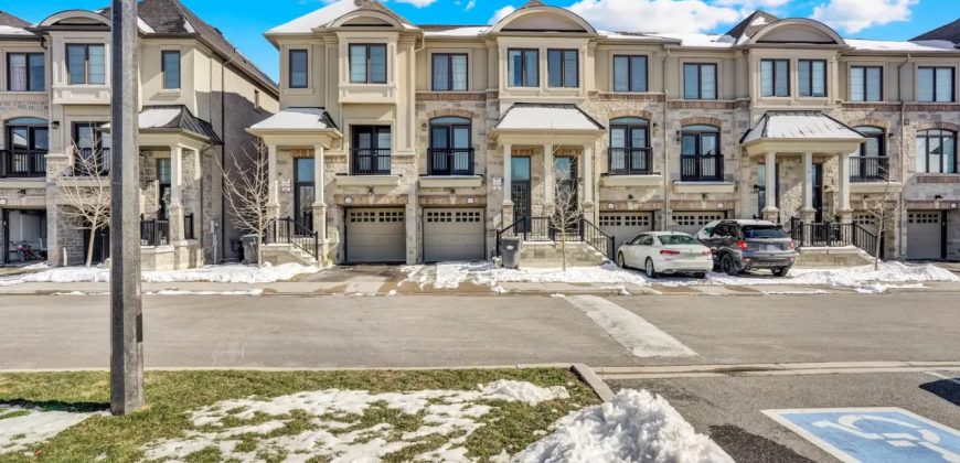 Stylish Mississauga