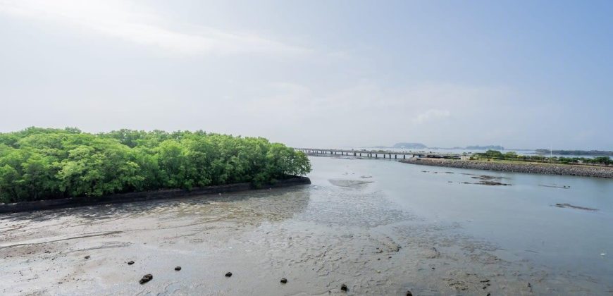 Lovely 1BR and 3BR Apartments In Panama