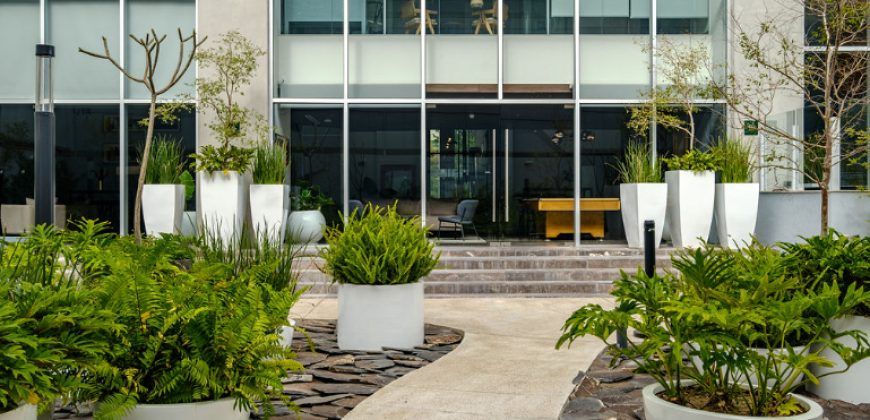 Nido Guadalajara