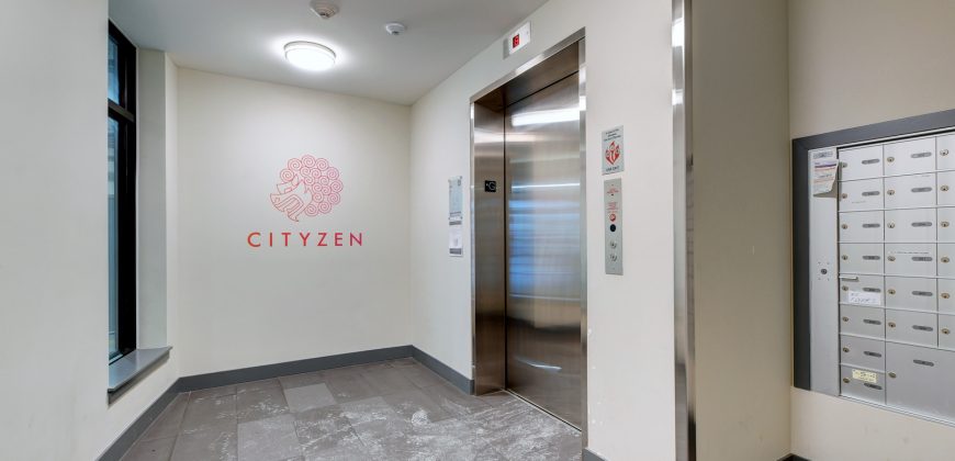 Cityzen 302