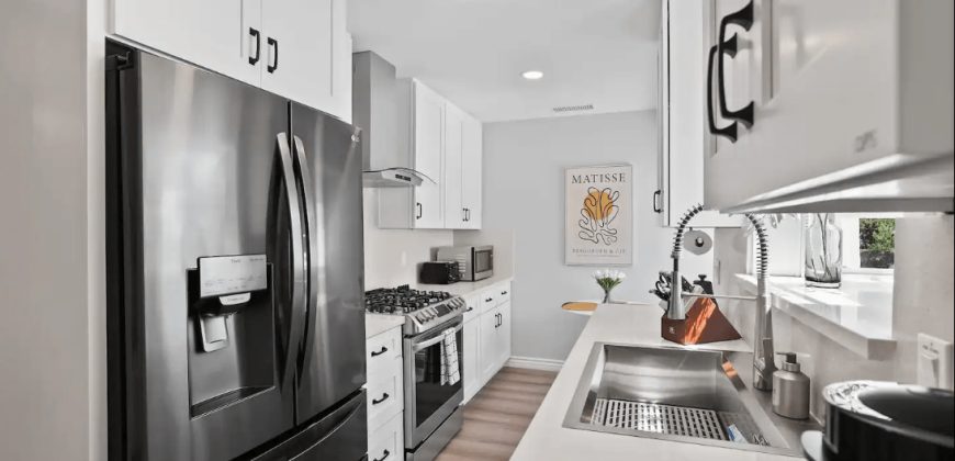 Disneyland Modern Brand New Home