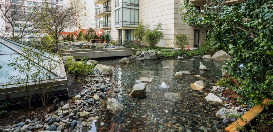 Falls Pond Retreat