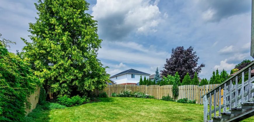 High-Ceiling Home & Relaxing Patio in Waterloo
