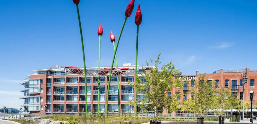 Janion Microlofts