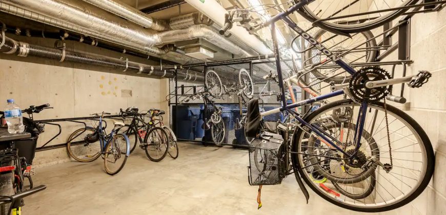 Janion Microlofts