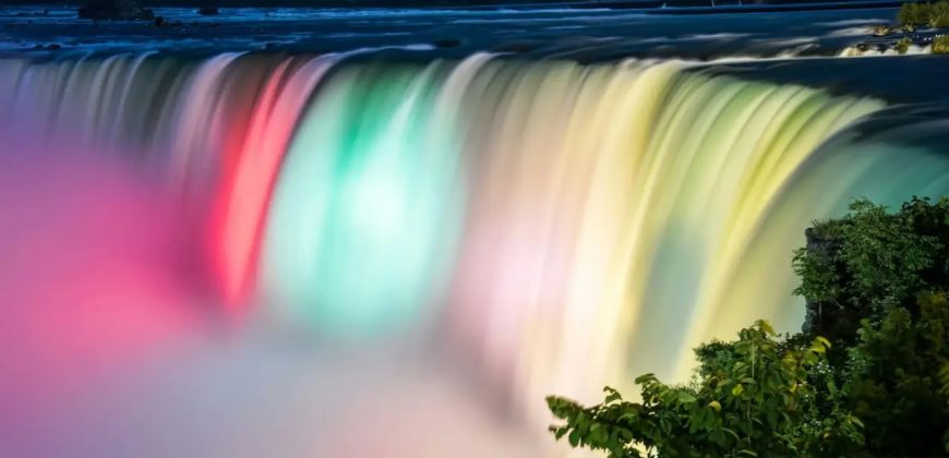 Niagara’s Nest