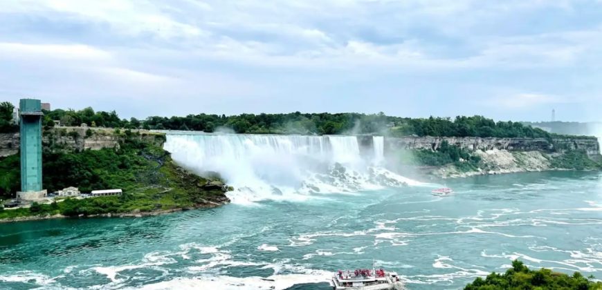 Niagara’s Nest