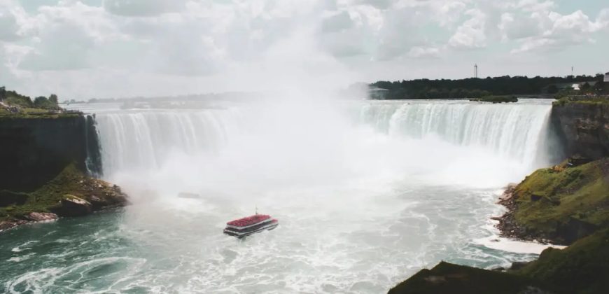 Niagara’s Nest