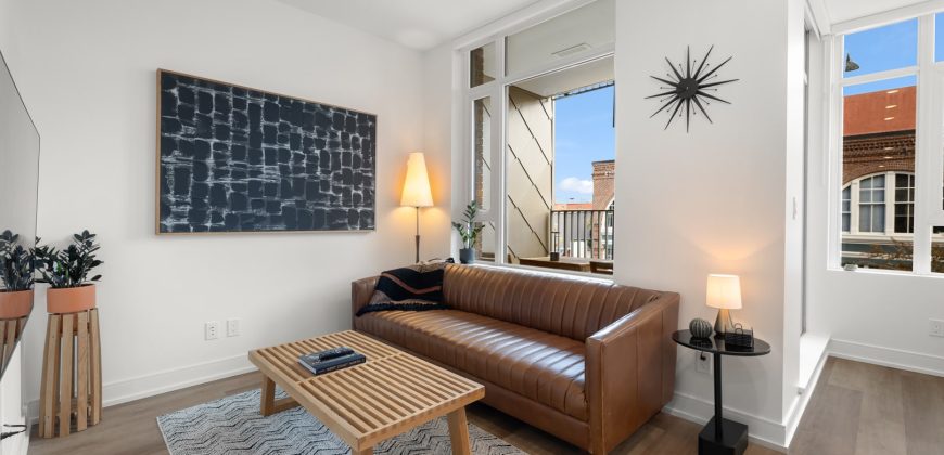 Pearl Modern Suite