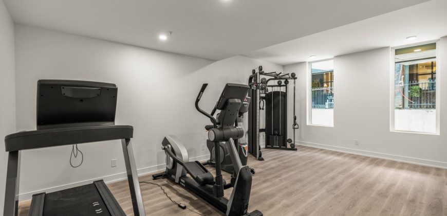 Pearl Modern Suite