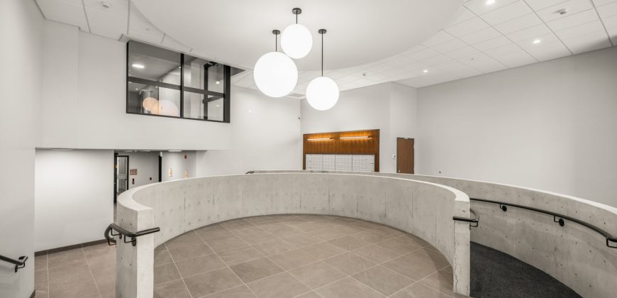 Pearl Modern Suite