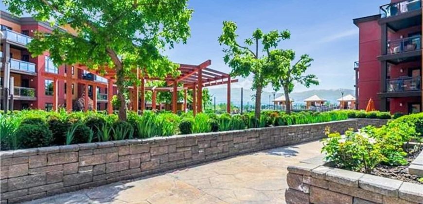 Nalu Beach