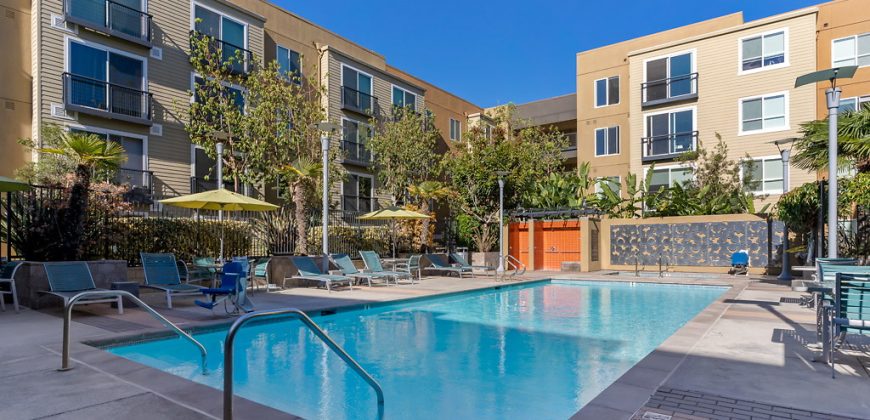 Solstice Apartments