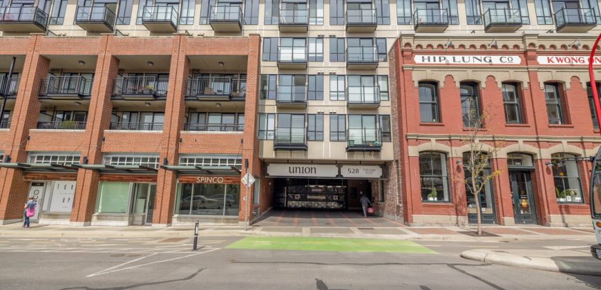Union Trendy Loft