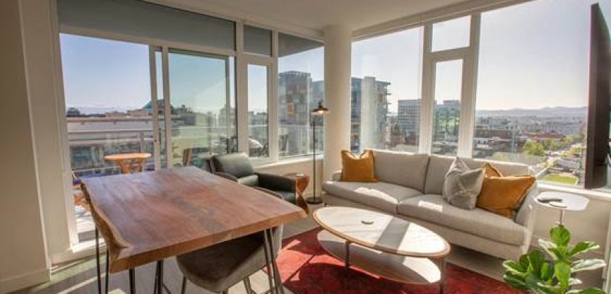 Yates Skyline Suite