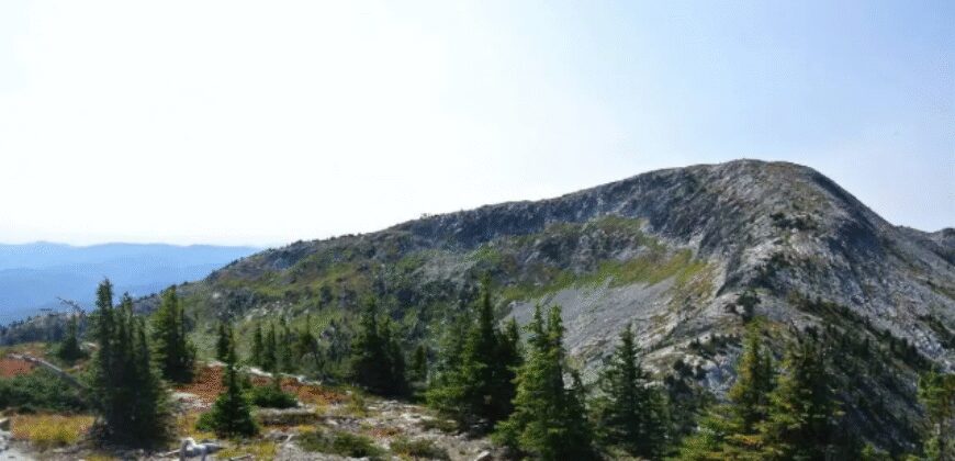 The Alpine