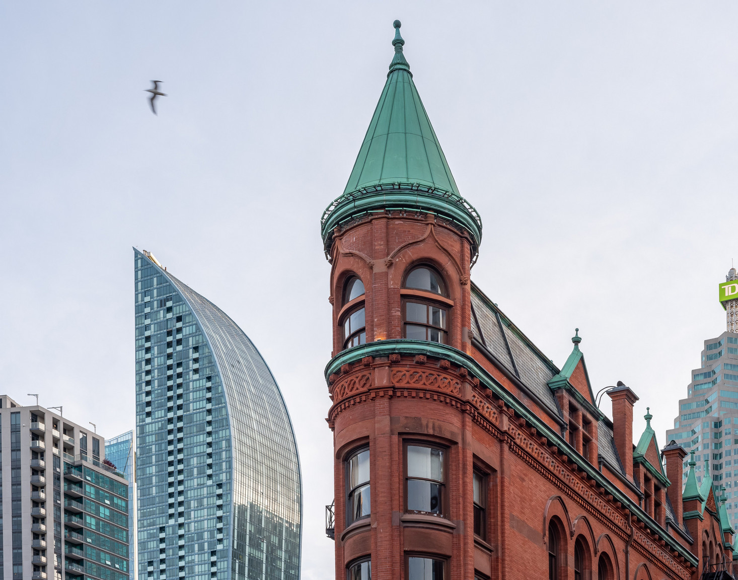 Elm-Ledbury Toronto – 1BR Furnished Apartment