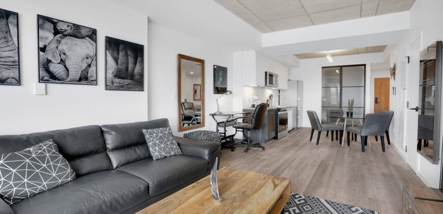 Ottawa Loft